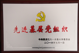 U8国际官网先进基层党组...